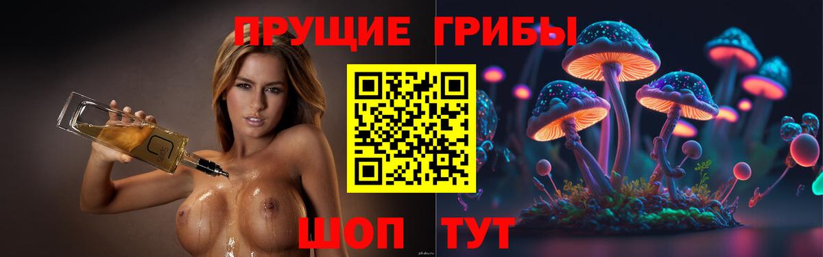 Галлюциногенные грибы Cubensis Люберцы